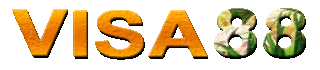 Visa88